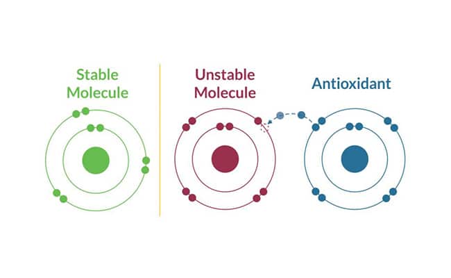 More About Free radicals and antioxidants