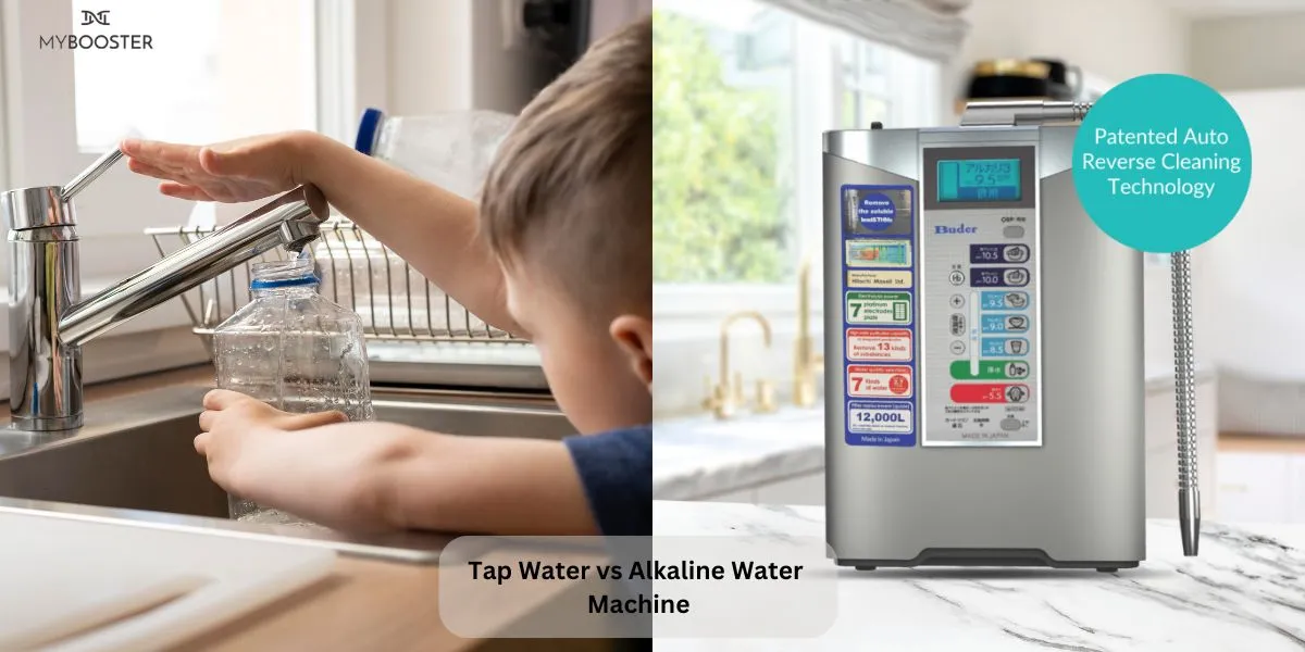 Regular Tap Water vs Alkaline Water Machines