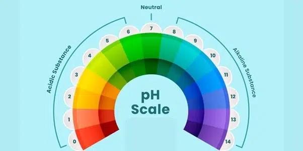 Alkalinity in Water: A Comprehensive Guide
