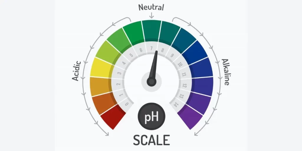 Basics of Alkaline Water: Understanding pH Levels